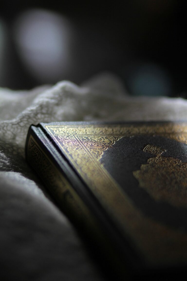 quran, light, spirituality, religious, holy, reading, islam, koran, allah, book, islamic, arab, arabic, quran, quran, quran, quran, quran